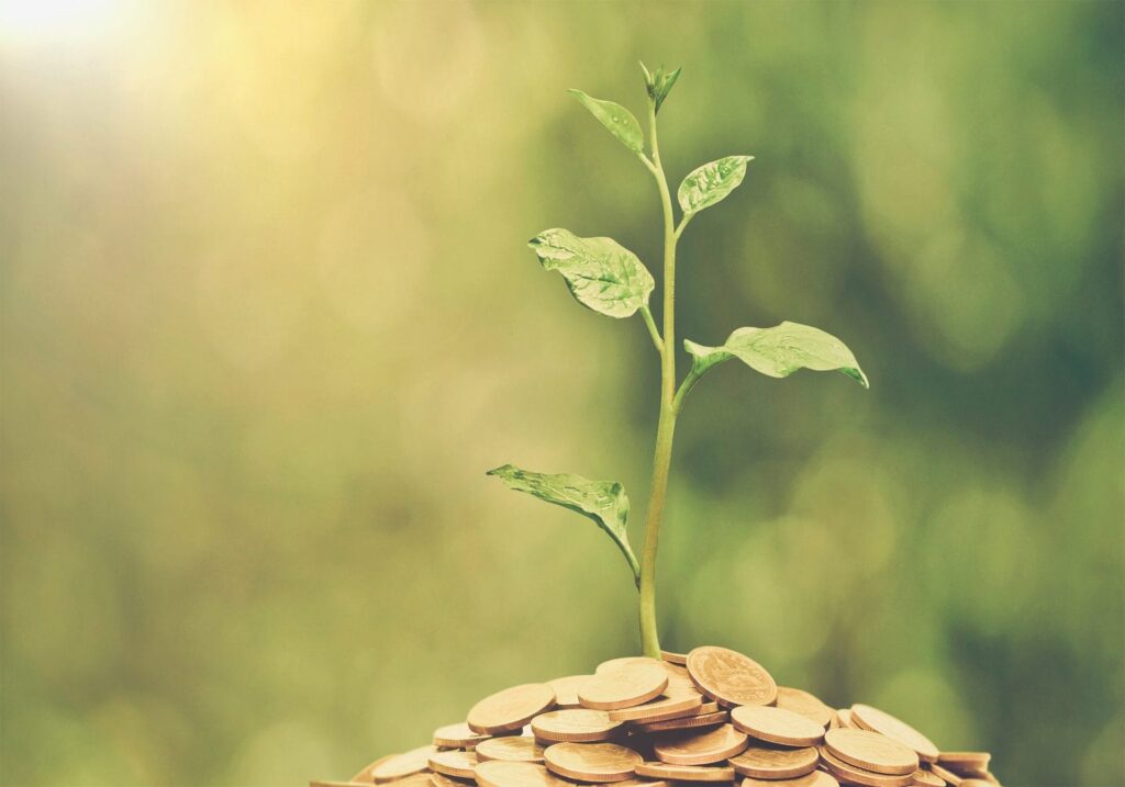 Pflanze wächst aus Münzen