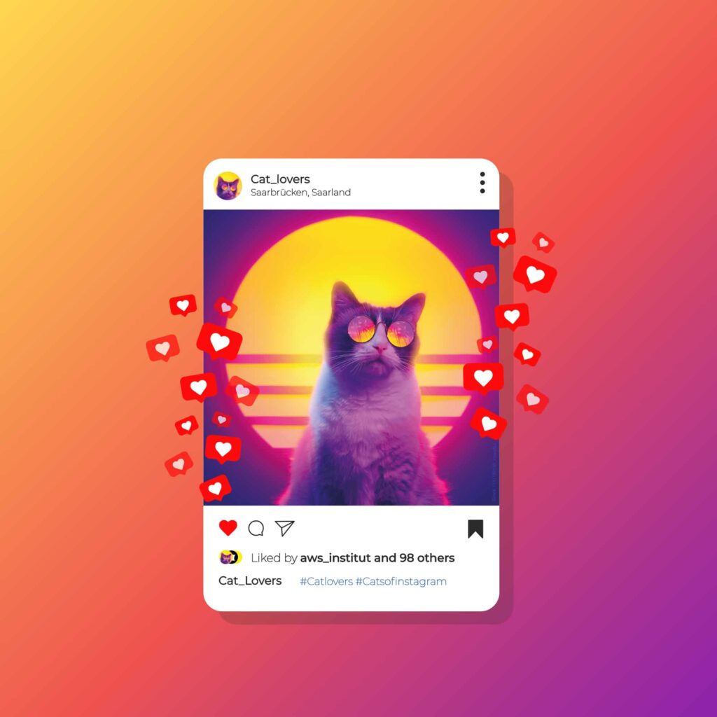 „Menschen liken auch Katzenbilder“ 5 IM+io Artikel zum Thema Marketing-Controlling