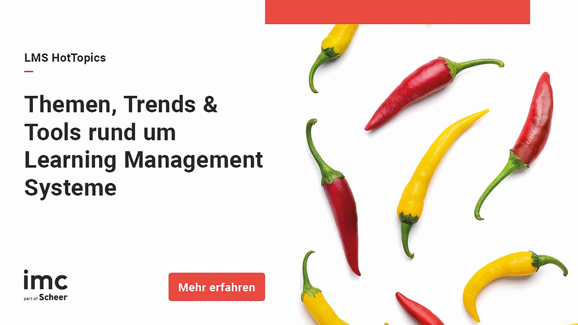 Ads Reihe der imc Marketing-Controlling der imc