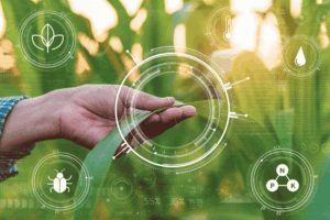 digitale Landwirtschaft