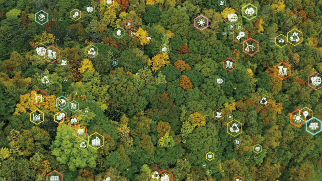 Der Wald als digitales Ökosystem 3 Wald