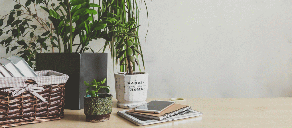 © AdobeStock | 322620881 | shintartanya