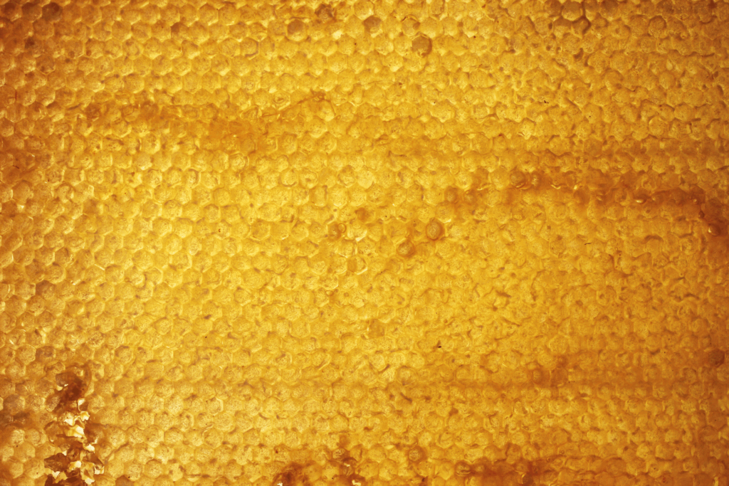 Sweet Like Honey 1 Honigwaben