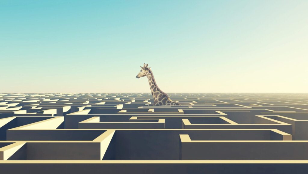 Giraffe im Labyrinth