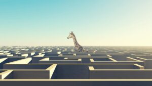 Giraffe im Labyrinth